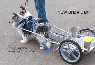 dog harness for pulling wagon