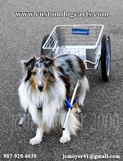 Custom Dog Carts.com
current  business card showing the lightweight aluminum cart