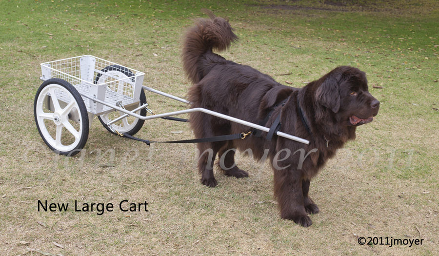 CUSTOM DOG CARTS  Manufacturing and selling the finest dog carts for draft  dog competition and recreation.