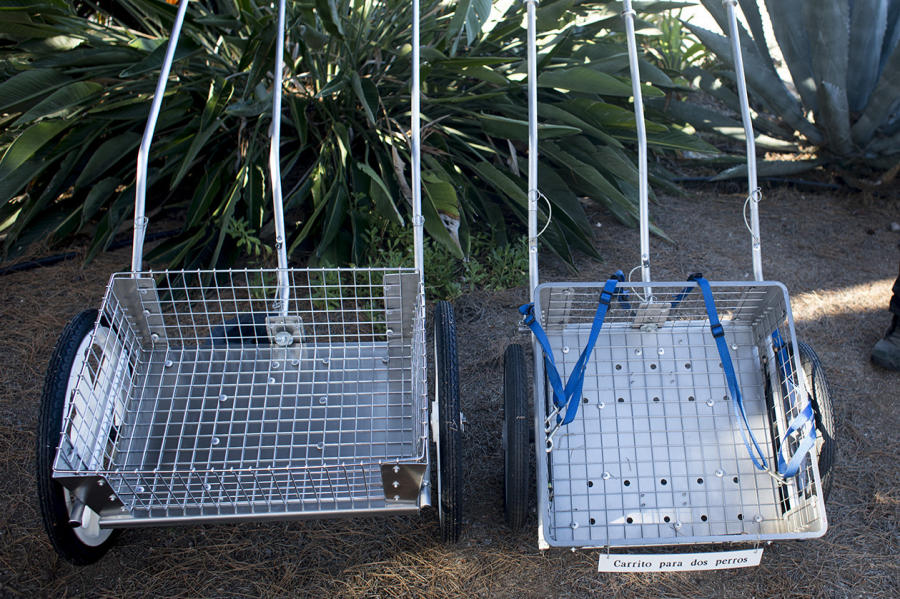 New Home Page Gallery 2 CUSTOM DOG CARTS Manufacturing and selling