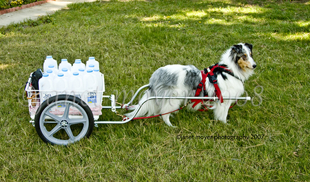 Cloud shown with his first cart made from PVC. Photo used on earliest business card