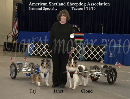Janet Moyer, owner of Custom Dog Carts with Taj and Cloud, at the national Shetland Sheepdog Specialty dog show